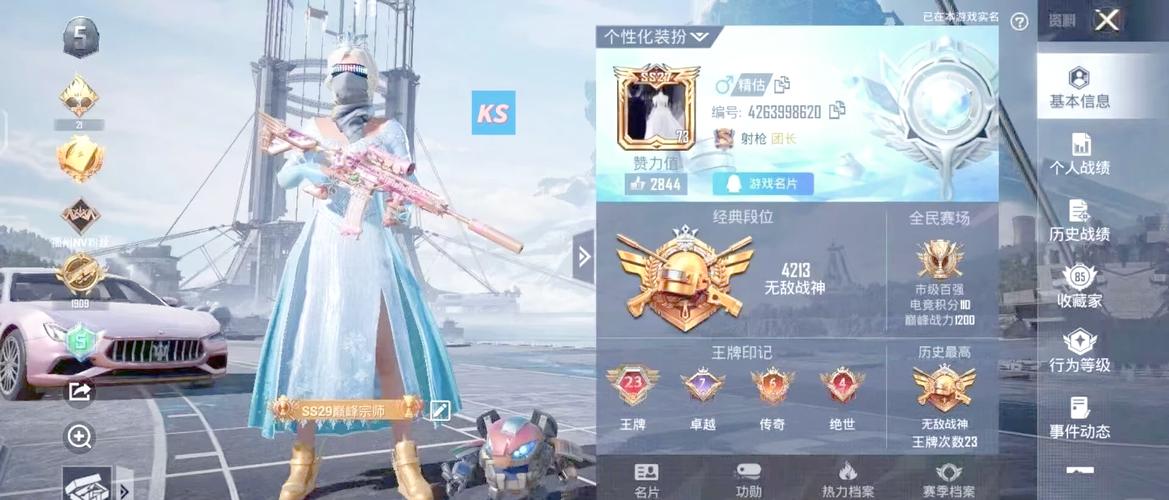 和平精英外挂透视和武器的结合(图1)